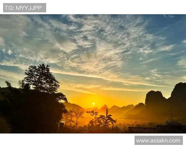 在雾霭笼罩的城市中探寻幽影拖延的真相与解脱之道